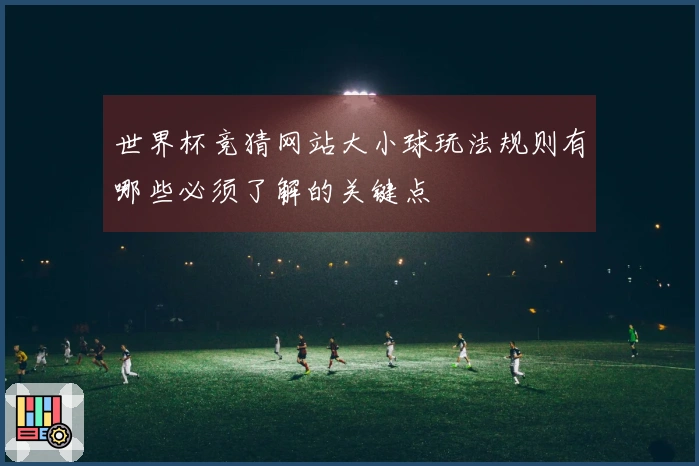 世界杯竞猜网站大小球玩法规则有哪些必须了解的关键点