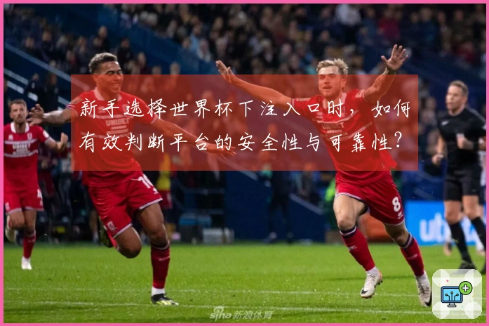 新手选择世界杯下注入口时，如何有效判断平台的安全性与可靠性？