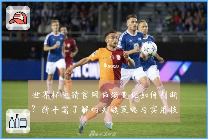 世界杯竞猜官网临场变化如何判断？新手需了解的关键策略与实用技巧